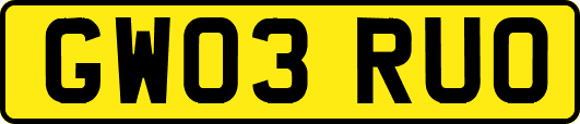 GW03RUO