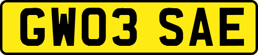 GW03SAE