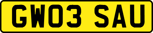 GW03SAU