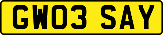GW03SAY