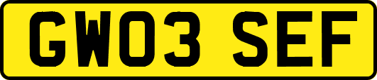 GW03SEF