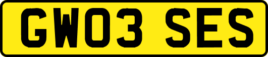 GW03SES