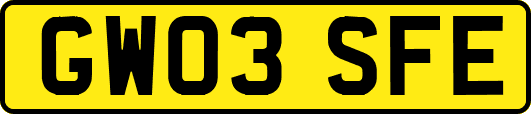 GW03SFE