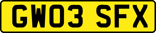 GW03SFX