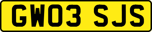 GW03SJS