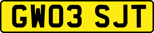 GW03SJT