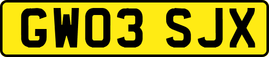 GW03SJX