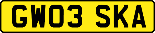 GW03SKA