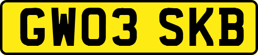 GW03SKB