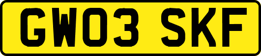 GW03SKF