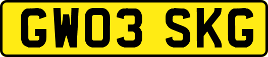 GW03SKG