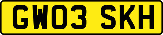 GW03SKH