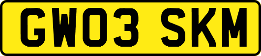 GW03SKM