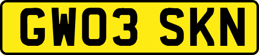 GW03SKN