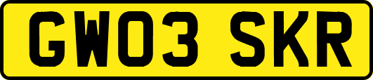 GW03SKR