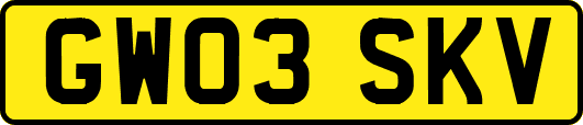 GW03SKV
