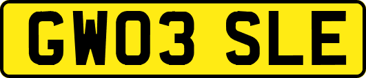 GW03SLE