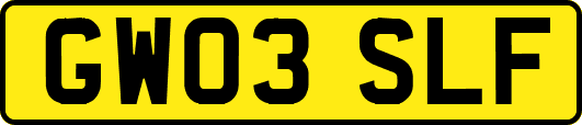 GW03SLF