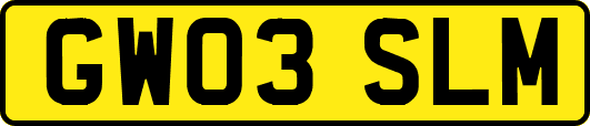 GW03SLM