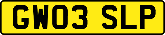 GW03SLP