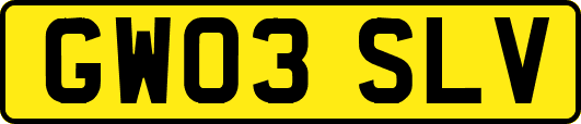 GW03SLV