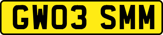 GW03SMM
