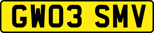 GW03SMV