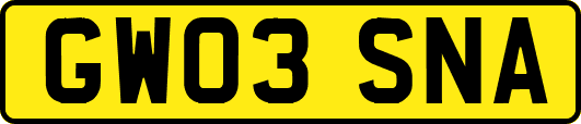 GW03SNA