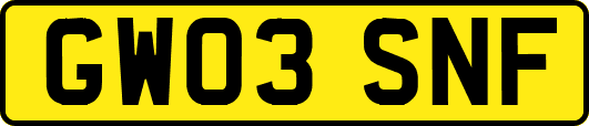 GW03SNF