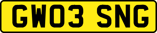 GW03SNG