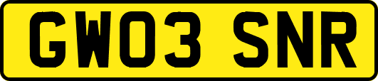 GW03SNR