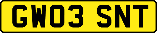 GW03SNT