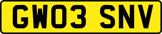 GW03SNV