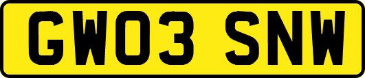 GW03SNW