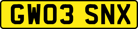 GW03SNX
