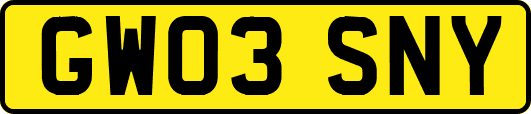 GW03SNY