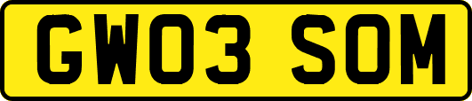 GW03SOM
