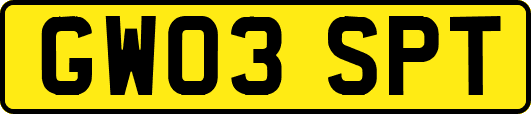 GW03SPT
