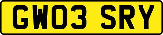 GW03SRY
