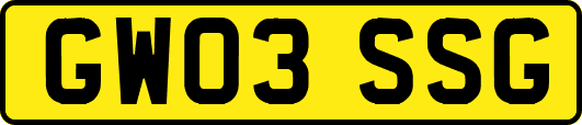 GW03SSG