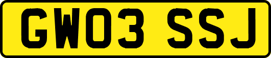 GW03SSJ