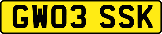 GW03SSK