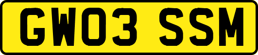 GW03SSM
