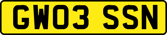 GW03SSN