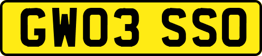 GW03SSO