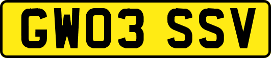 GW03SSV