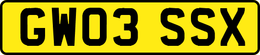 GW03SSX