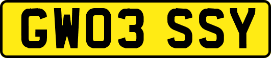 GW03SSY