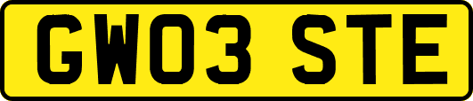 GW03STE