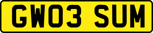 GW03SUM